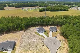 3003 Tucker Hl Dr, Grimesland, NC 27837 - Photo 46