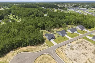 2986 Tucker Hl Dr, Grimesland, NC 27837 - Photo 46