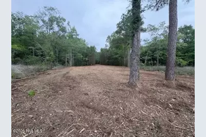 257 Stillwater Drive, Belhaven, NC 27810 - Photo 16