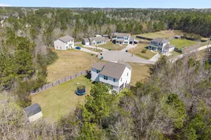 117 Blossom Court, Maple Hill, NC 28454 - Photo 50
