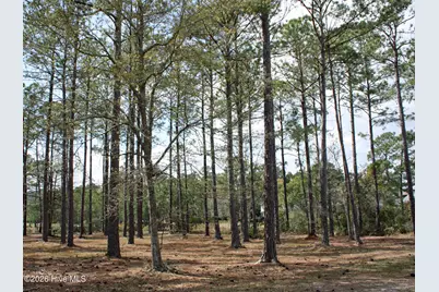 640 Barons Court SW, Ocean Isle Beach, NC 28469 - Photo 4