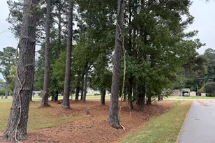 919 Soundside Rd, Edenton, NC 27932 - Photo 8
