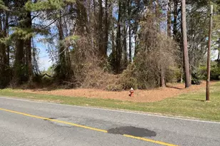 00 Penny Branch Rd, Warsaw, NC 28398 - Photo 1