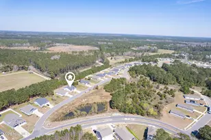 1432 Evergreen Frst Dr SE, Bolivia, NC 28422 - Photo 46