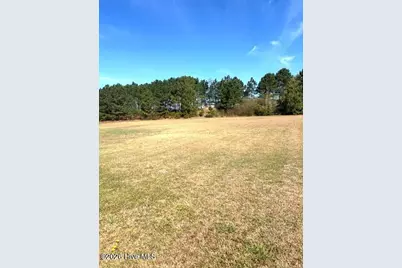 7806 Stone Castle Court, Kenly, NC 27542 - Photo 4
