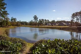 8326 Slippery Elm Ct, Leland, NC 28479 - Photo 52