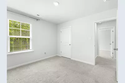167 Evergreen Forest Court, Sneads Ferry, NC 28460 - Photo 24