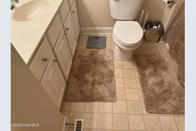 736 Lynch and Hedgepeth Road, Hollister, NC 27844 - Photo 14