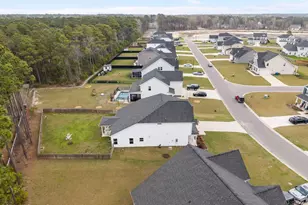 209 E Red Head Cir, Sneads Ferry, NC 28460 - Photo 42