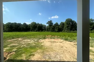 147 Margot Manor Dr, Benson, NC 27504 - Photo 6