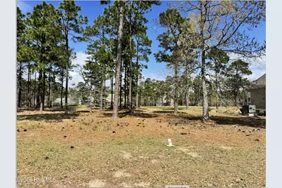 425 Laurel Valley Drive, Shallotte, NC 28470 - Photo 2