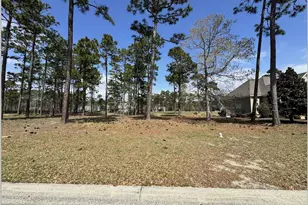 425 Laurel Valley Dr, Shallotte, NC 28470 - Photo 1