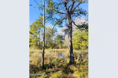 1907 Redfish Run SW, Supply, NC 28462 - Photo 58