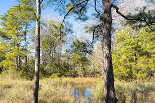 1907 Redfish Run SW, Supply, NC 28462 - Photo 56