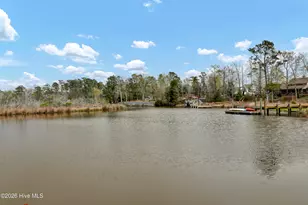 310 Milton Ct, Sneads Ferry, NC 28460 - Photo 50