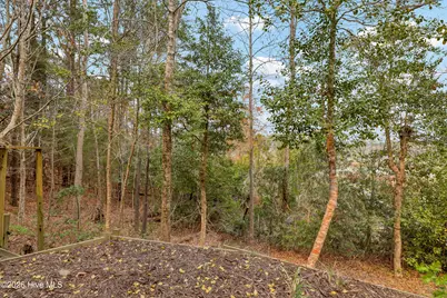 310 Milton Court, Sneads Ferry, NC 28460 - Photo 52