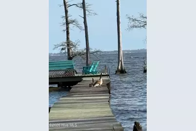 380 Beech Bay Road, Roper, NC 27970 - Photo 80