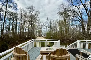 380 Beech Bay Rd, Roper, NC 27970 - Photo 50