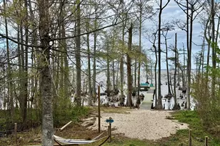 380 Beech Bay Rd, Roper, NC 27970 - Photo 60
