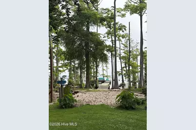 380 Beech Bay Road, Roper, NC 27970 - Photo 82