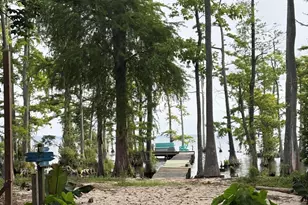 380 Beech Bay Rd, Roper, NC 27970 - Photo 82