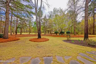 107 Red Sunset Ct, Wallace, NC 28466 - Photo 40