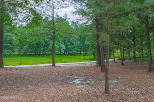 107 Red Sunset Ct, Wallace, NC 28466 - Photo 50
