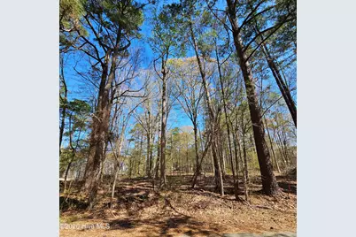 Lot 77 Pirate Cove Way, Hertford, NC 27944 - Photo 2