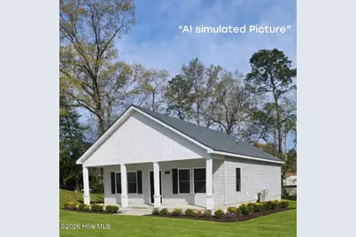 163 Wheeler Creek Road, Sneads Ferry, NC 28460 - Photo 2