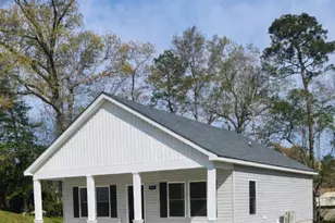 163 Wheeler Creek Rd, Sneads Ferry, NC 28460 - Photo 2