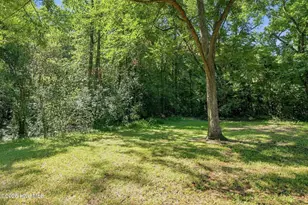 220 E Branch St, Spring Hope, NC 27882 - Photo 98