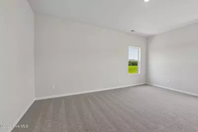 209 Hallwood Drive, Pikeville, NC 27863 - Photo 18