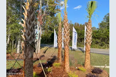 738 Little Gull Way #Litchfield Il Lot 90, Ocean Isle Beach, NC 28469 - Photo 6