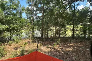 165 Devonshire Ave W, West End, NC 27376 - Photo 20