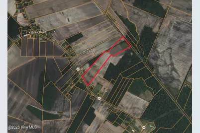 26 Ac Nc 99, Pantego, NC 27860 - Photo 6