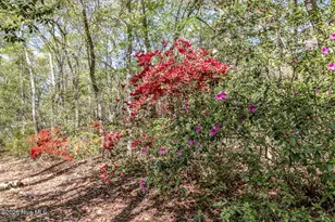 345 Rock Rd, Goldsboro, NC 27534 - Photo 4