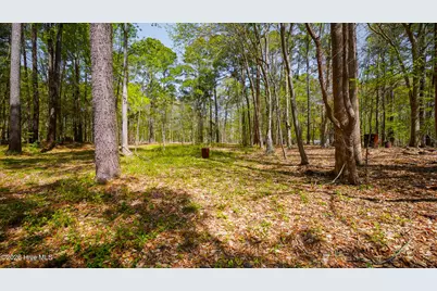 Lot 35 Leeward Drive, Hertford, NC 27944 - Photo 6