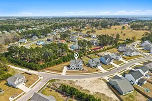 479 Northern Pintail Pl, Hampstead, NC 28443 - Photo 34
