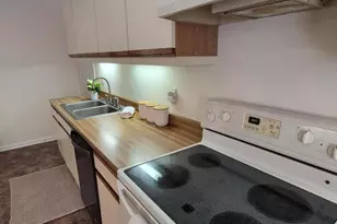 116 Shagbark Ct, West End, NC 27376 - Photo 50