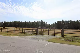 116 Shagbark Ct, West End, NC 27376 - Photo 66