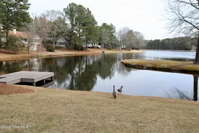 116 Shagbark Court, West End, NC 27376 - Photo 18