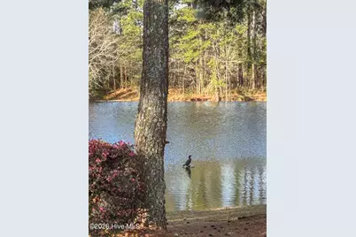 576 Tralee Drive, Smithfield, NC 27577 - Photo 34