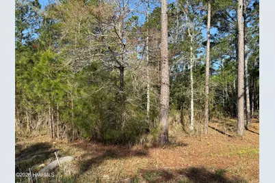125 Shell Castle Lane, Vandemere, NC 28587 - Photo 4