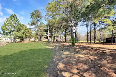 4609 Lobelia Road, Vass, NC 28394 - Photo 28