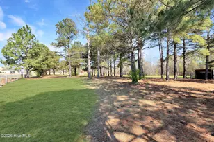 4609 Lobelia Rd, Vass, NC 28394 - Photo 28