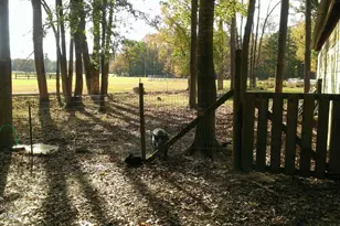 2639 Nc Hwy 211, Clarkton, NC 28433 - Photo 44