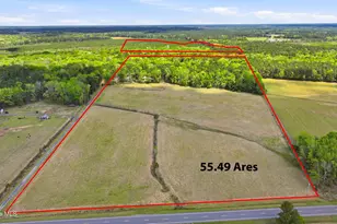 2639 Nc Hwy 211, Clarkton, NC 28433 - Photo 4