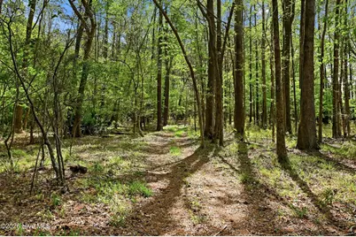 2639 Nc Highway 211, Clarkton, NC 28433 - Photo 84