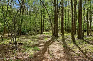 2639 Nc Hwy 211, Clarkton, NC 28433 - Photo 84