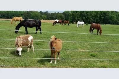2639 Nc Highway 211, Clarkton, NC 28433 - Photo 20